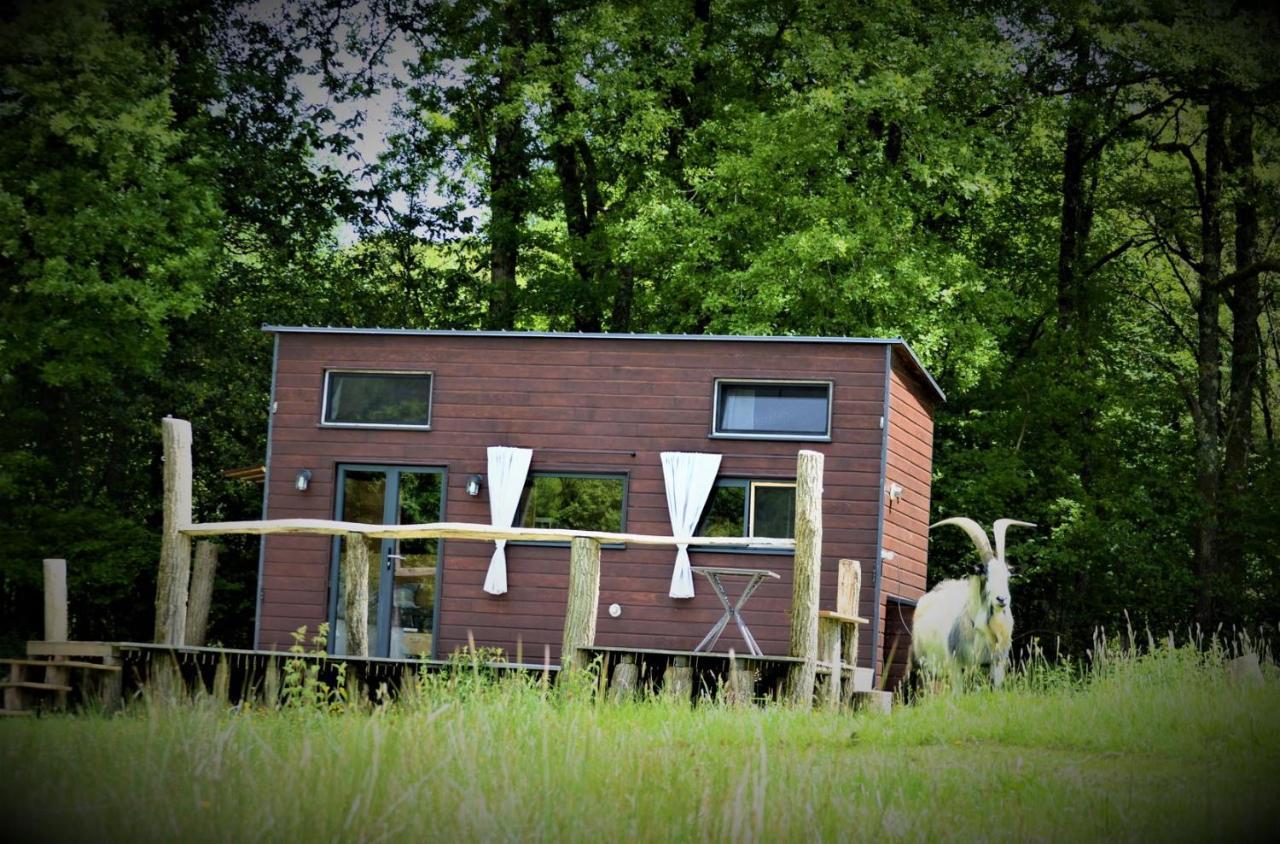 דירות Saint-Bazile La Tiny House Terra Nostra מראה חיצוני תמונה